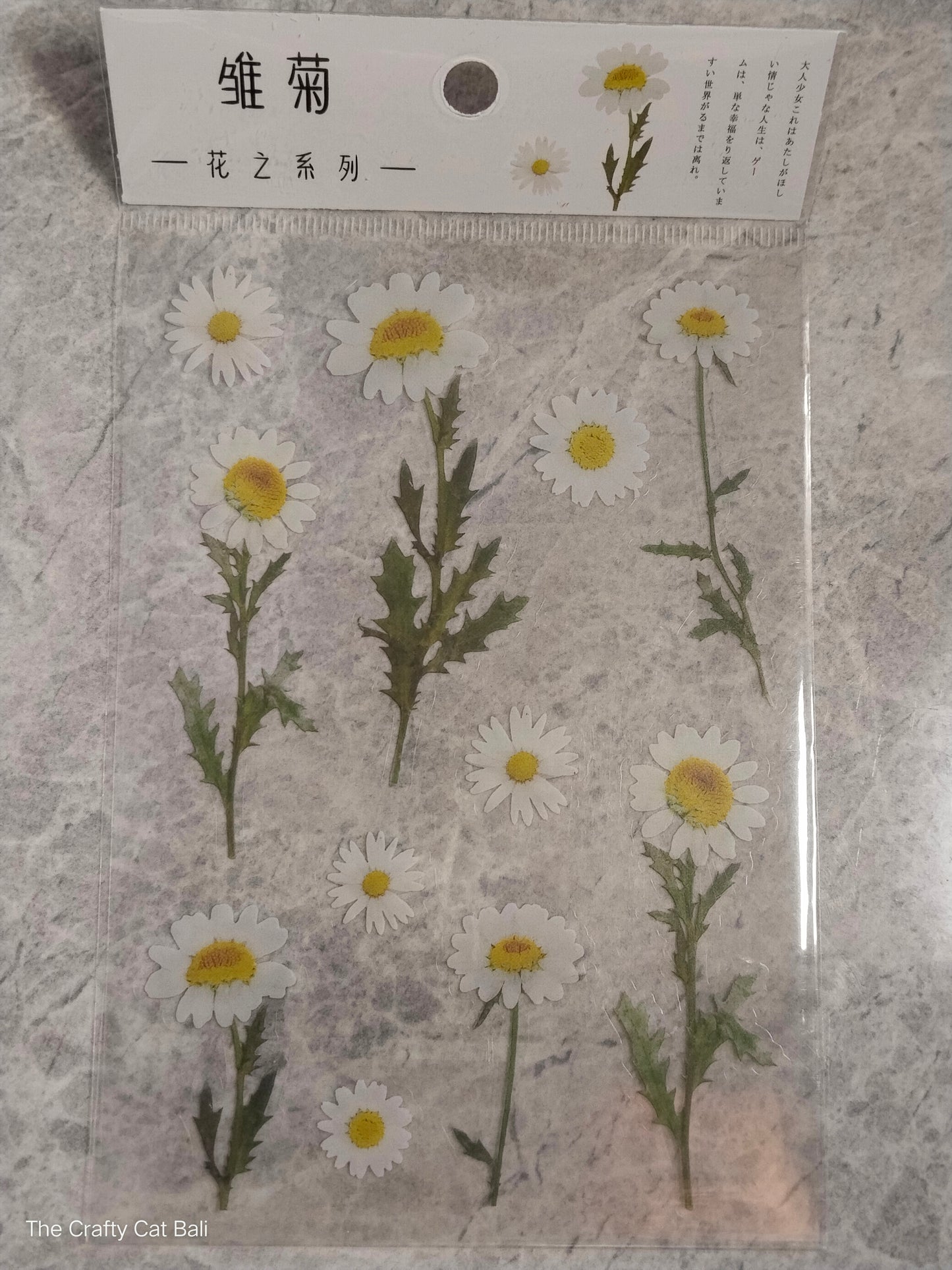 Sticker set transparan - Chrysanthemum